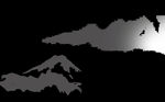 山