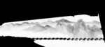 山
