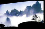 山