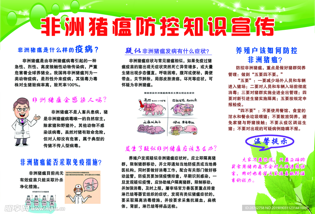 非洲猪瘟