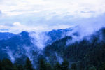 云雾山