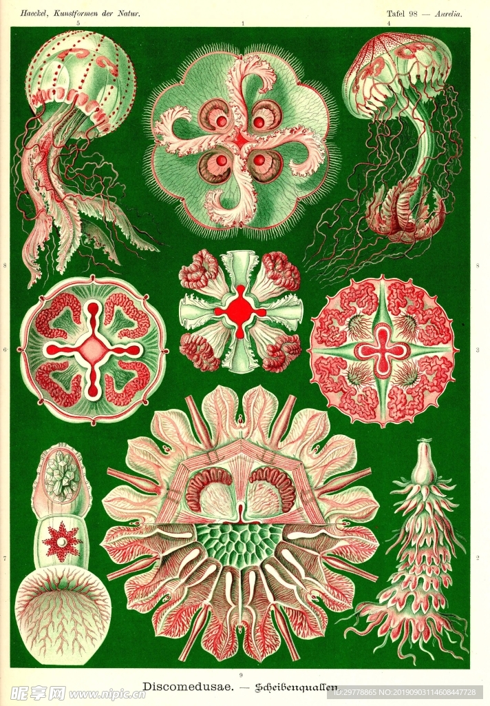 生物