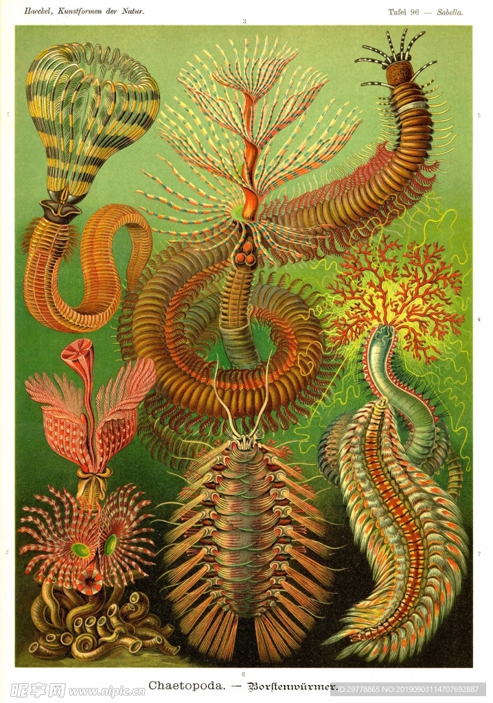 古生物