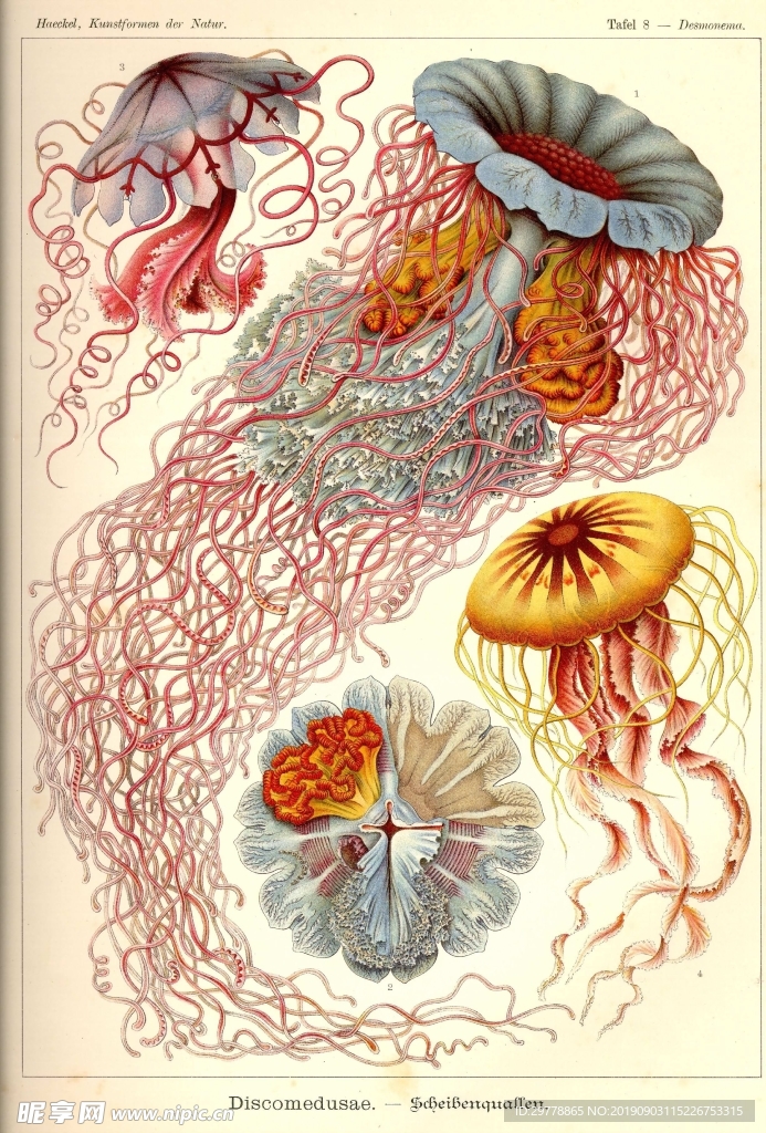 生物