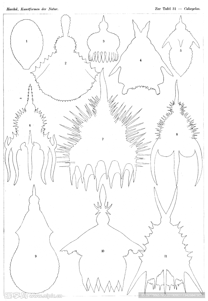 生物