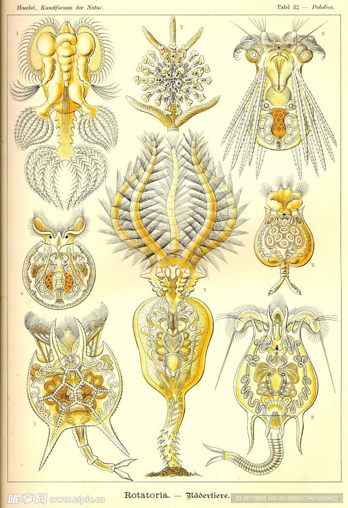 生物