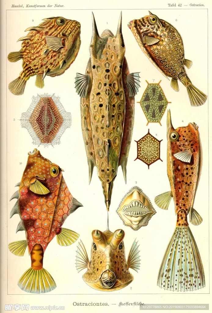 生物