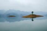 青山绿水