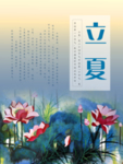 立夏荷花