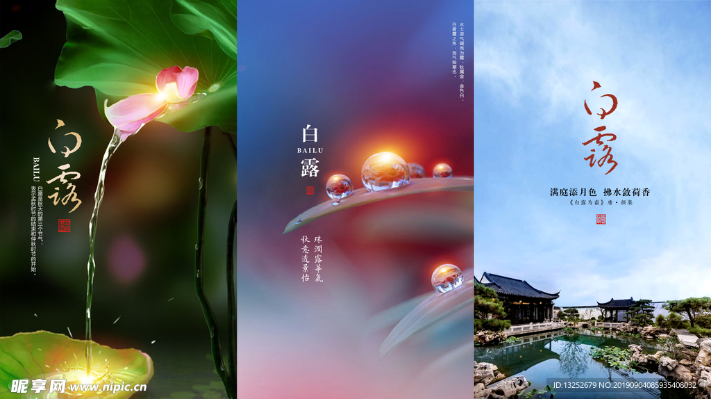 白露