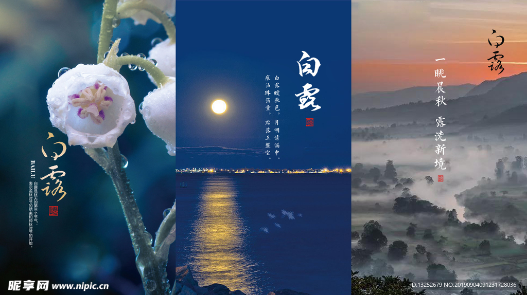 白露
