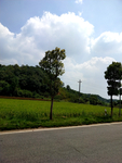 道路