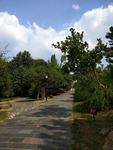 公路