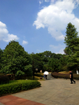 蓝天