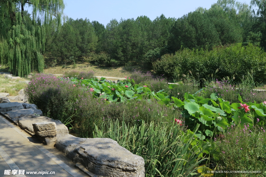 圆明园风景