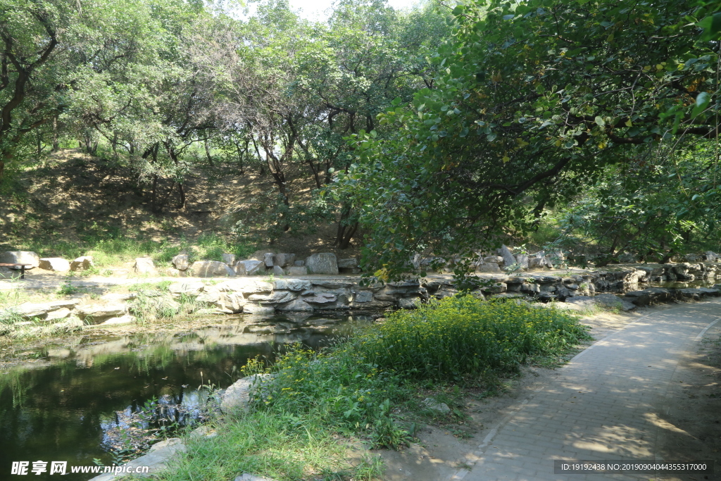 圆明园风景