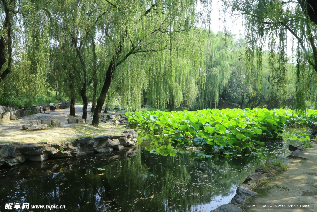 圆明园风景