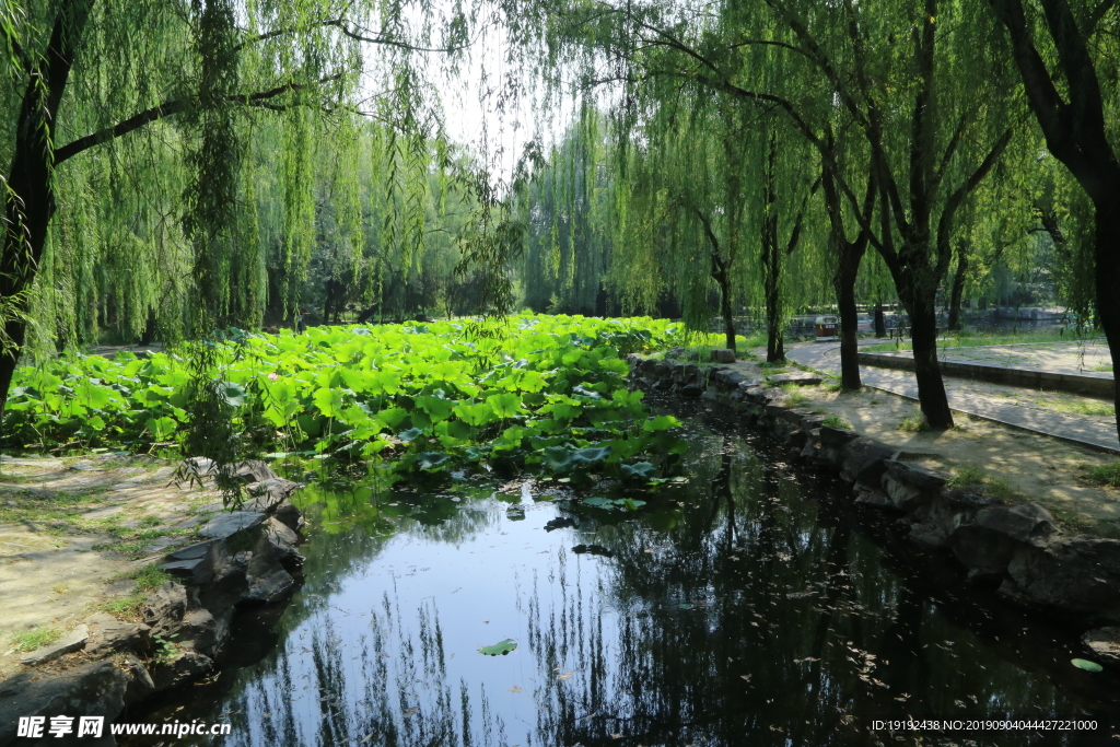 圆明园风景