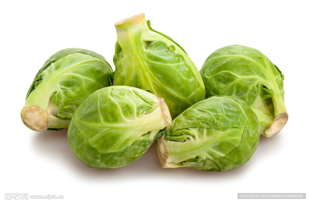 包菜