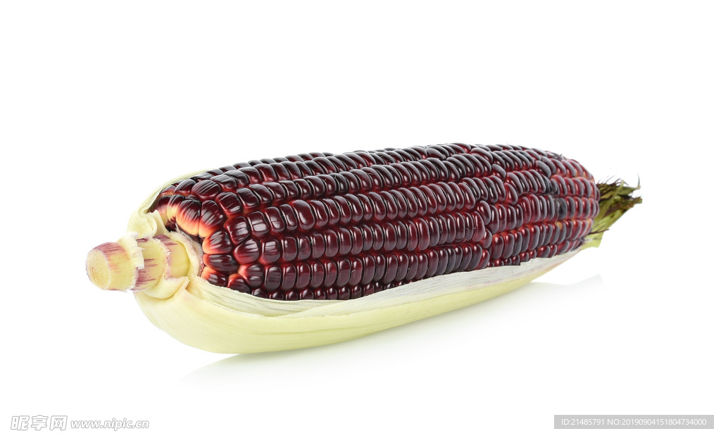 玉米