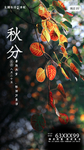 秋分