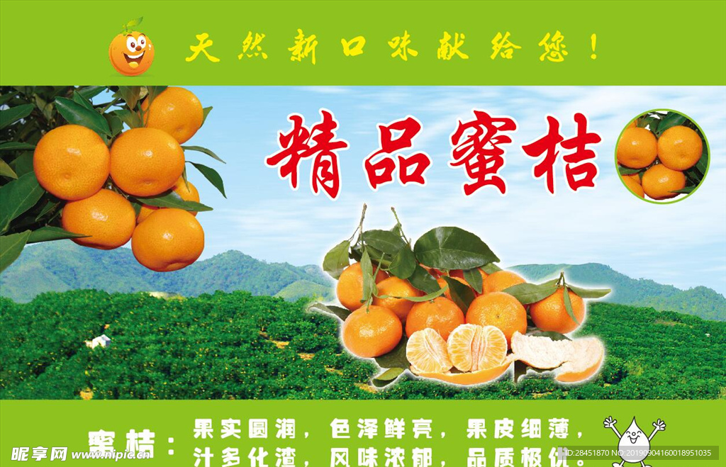 蜜桔DM单