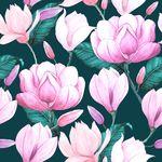 荷花印花
