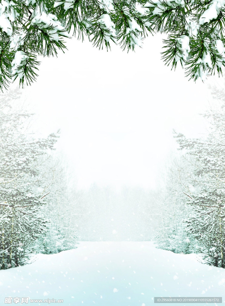 冬天的绿叶还挂着积雪
