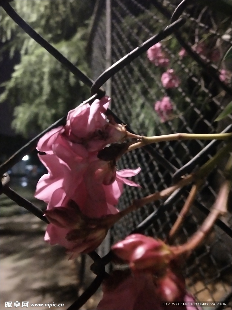 花