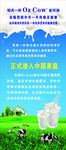 健康牛奶展架