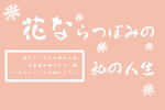 可爱日系字体排版