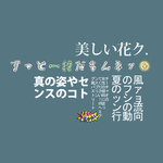 图文日系字体排版
