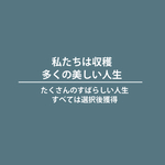 图文日系字体排版