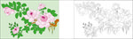 矢量月季花