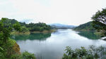 青山绿水