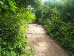山路