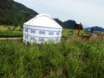 云中草原