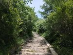 山间小路
