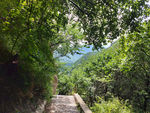 山间小路