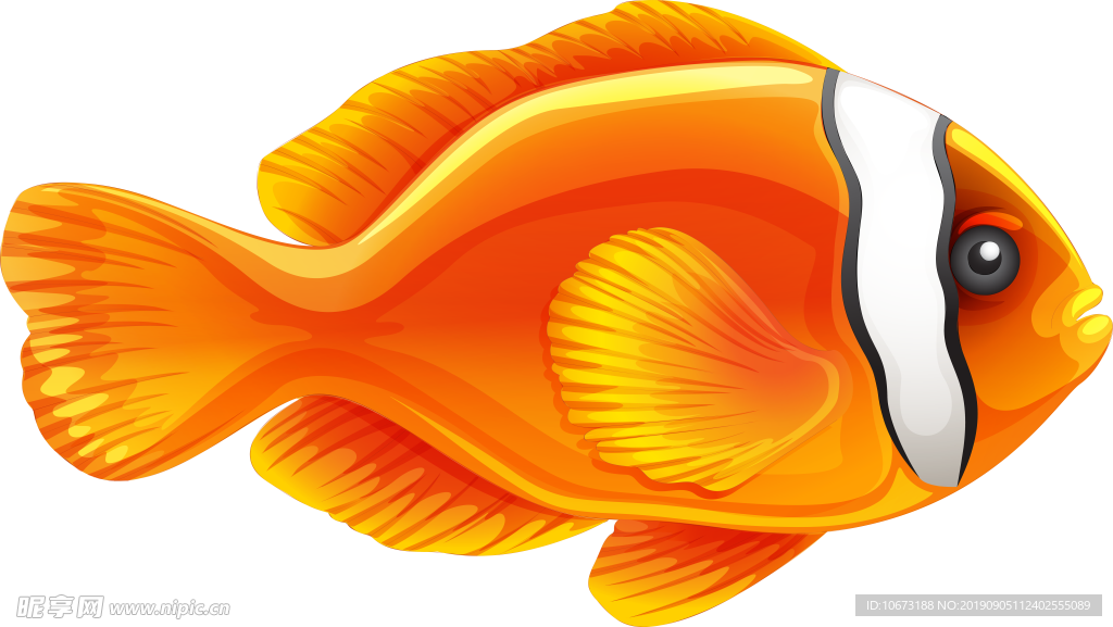 卡通海洋生物