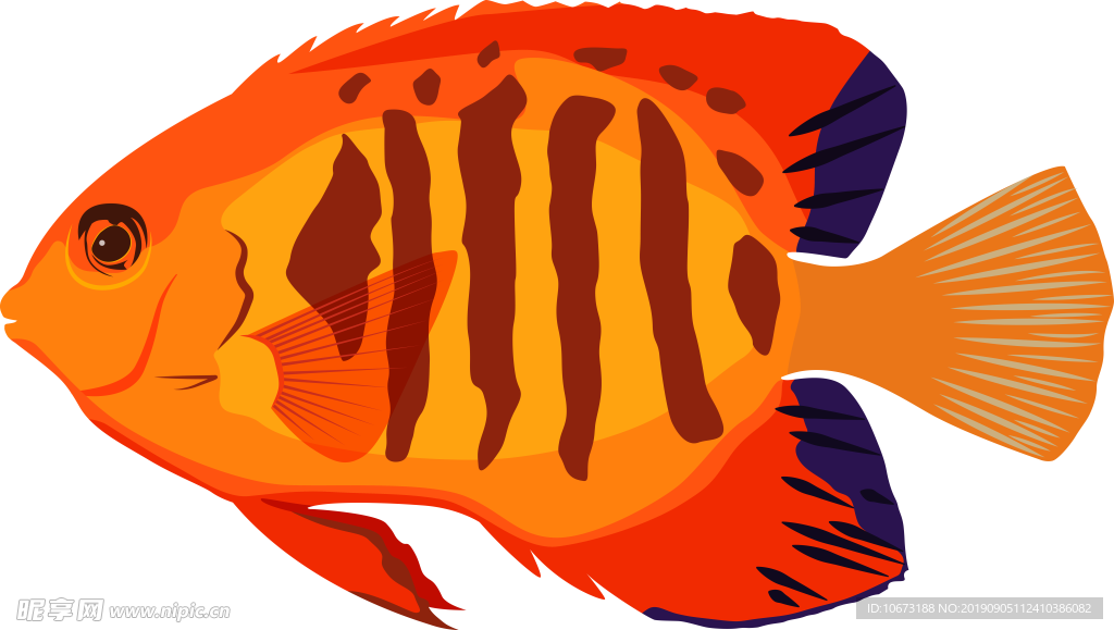 卡通海洋生物