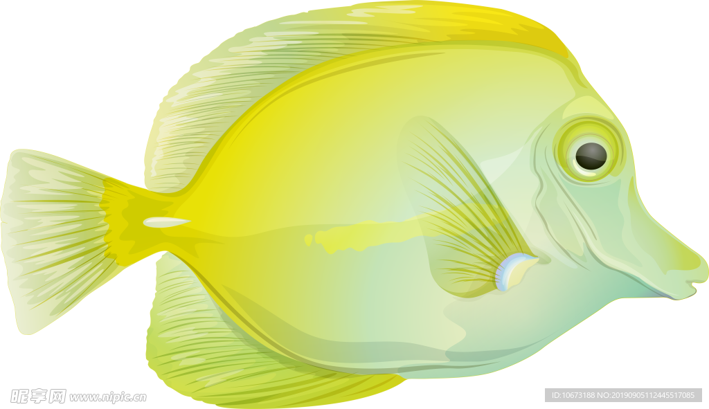 卡通海洋生物