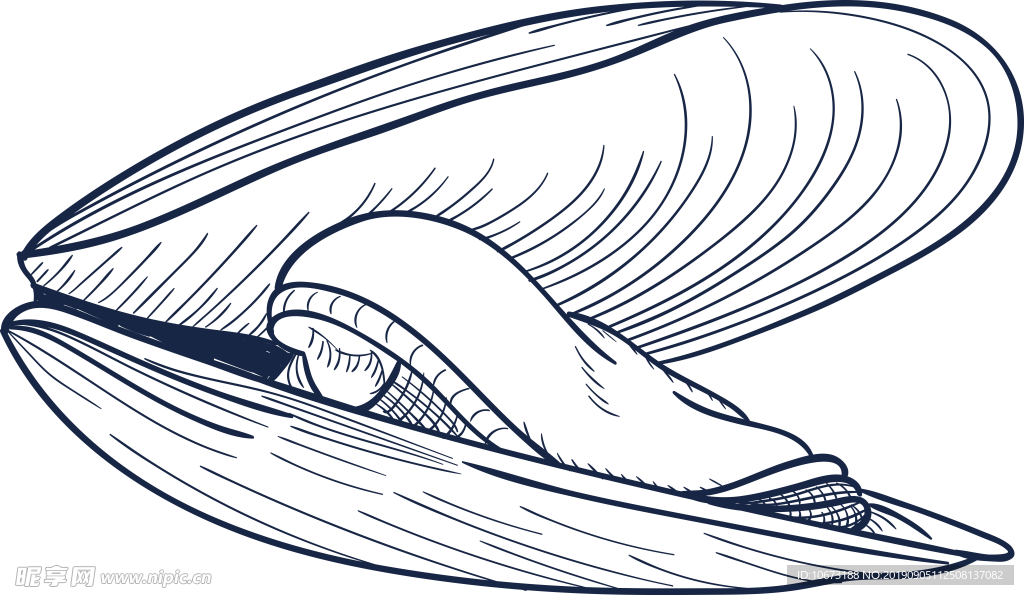 卡通海洋生物