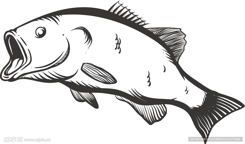 卡通海洋生物