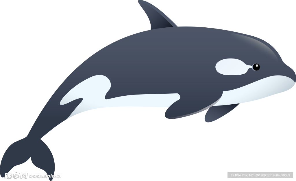 卡通海洋生物