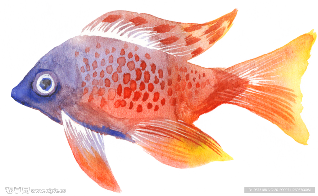 卡通海洋生物