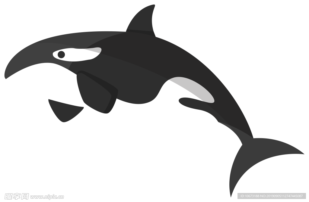 卡通海洋生物