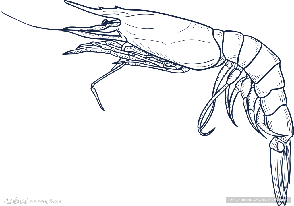 卡通海洋生物