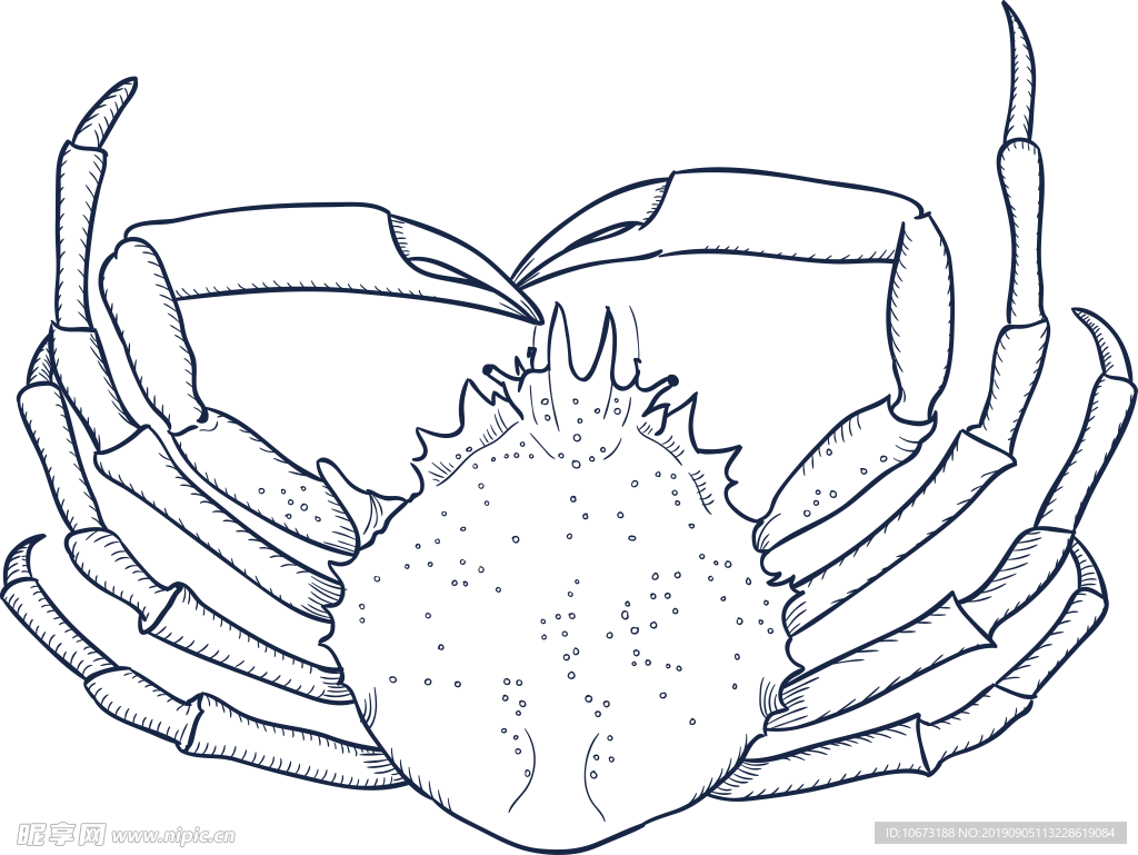 卡通海洋生物