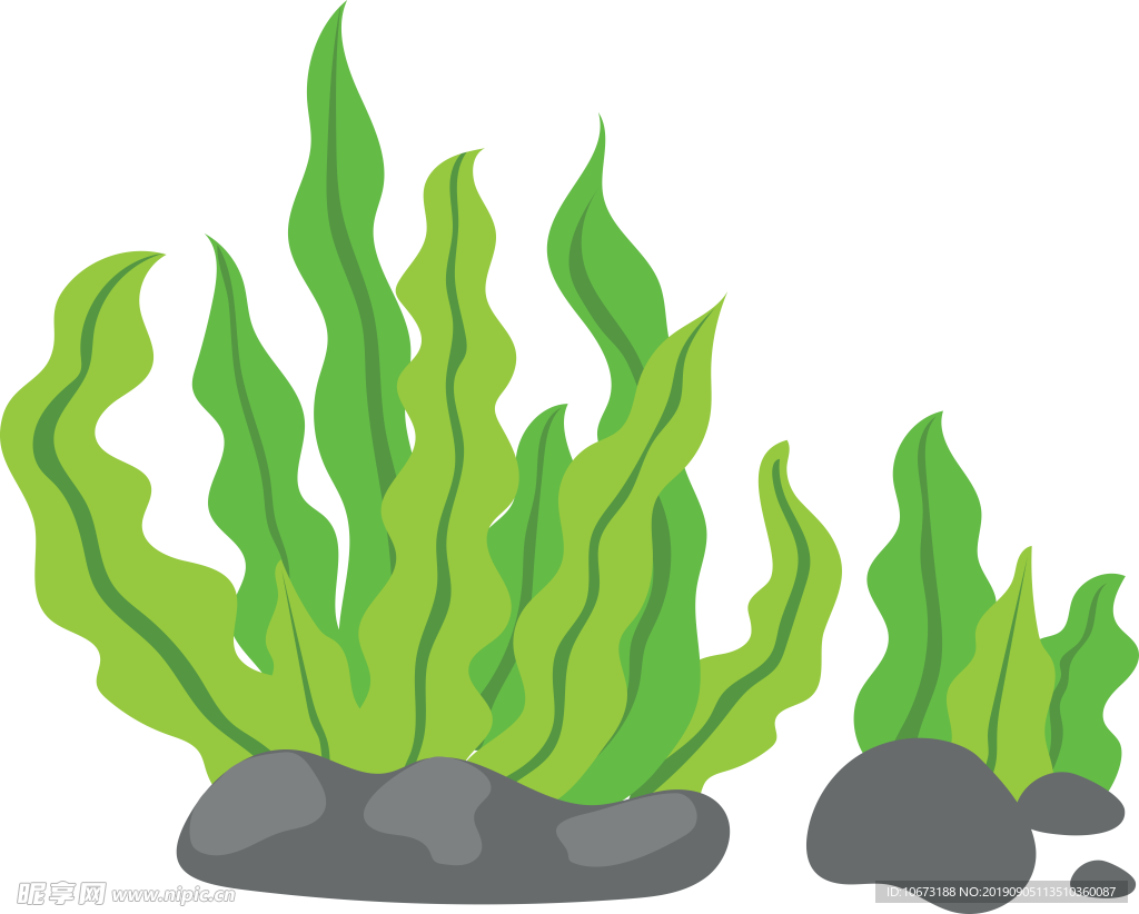 卡通海洋生物
